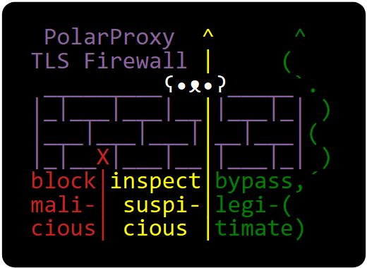 PolarProxy block/inspect/bypass ASCII